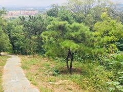 -北京鹫峰国家森林公园