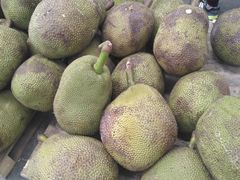 -东方鼎信农副产品交易中心