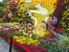 -杭州植物园