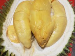 -都念榴莲·城市榴莲