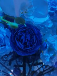 点击看大图 -格乐利雅婚礼艺术中心(南外滩店)