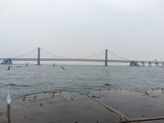 -星海湾跨海大桥
