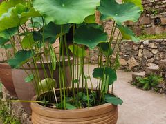 -远山有窑