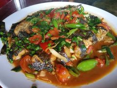 遇龙河剑骨鱼—阳朔特色啤酒鱼-生态苑农庄(十里画廊遇龙河店)