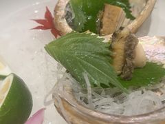 -月龍吟(朝龙汇店)