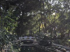 -成都市活水公园
