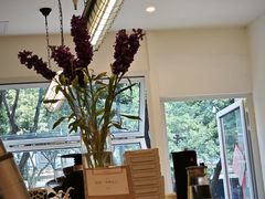 -Jeans Coffee牛仔裤咖啡