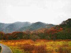 -神农架景区