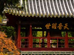 -报恩寺(平武县)