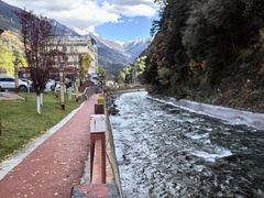 -金鼎雪山牦牛杂火锅(理县总店)