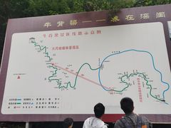 -牛背梁国家森林公园