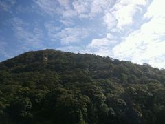 -广州市石门国家森林公园