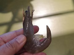-呼和浩特市老牛儿童探索馆