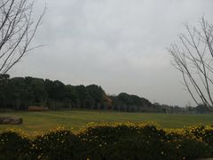 -昆山城市生态森林公园