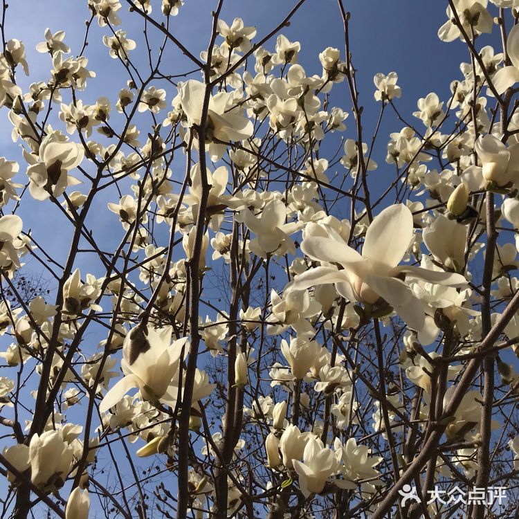最好的踏青去处就去取快递的路了吧