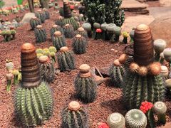 -南通洲际绿博园