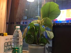 -南京金百时酒店(张府园地铁站店)