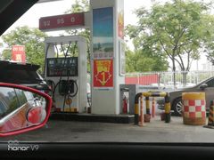-中国石化金城加油站