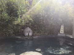 -徂徕山森林康养度假谷温泉