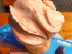 -野人牧坊Gelato(天津南开大悦城店)