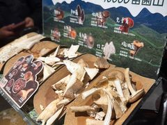 -芸山季·云南山珍菌火锅(人民广场来福士店)