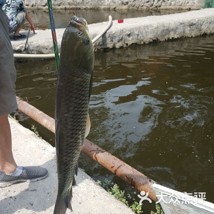 双新垂钓园图片-北京采摘/农家乐-大众点评网