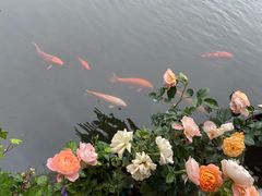 -郭庄景区