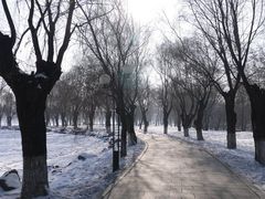 -二一九公园