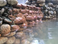 -三江森林温泉度假区