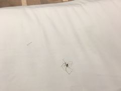 -曼谷一号酒店(深圳龙华大浪商业中心店)