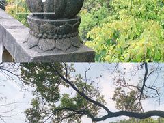 -南山植物园