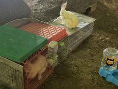 -枫花园汽车电影院(朝阳公园店)