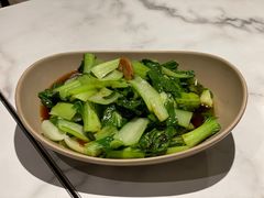 -MR鹅外