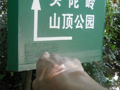 -紫金山山顶公园