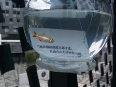 -知美术馆
