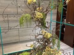 -南太湖山庄·四季轩&国风堂中餐厅
