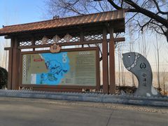 -白洋淀景区
