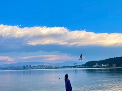 -洱海月湿地公园