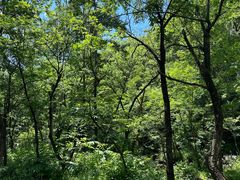 -玉渡山自然风景区