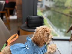 -星巴克(成都天府水街店)