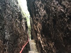 -天女山森林公园