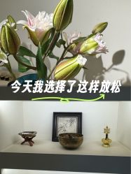 -Fancy梵汐·轻奢量肤定制