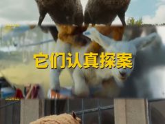 -SFC上影影城(港汇永华IMAX激光店)