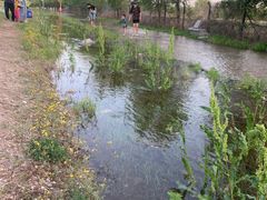 -永定河休闲森林公园