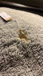 -万宝金楼(威海路店)