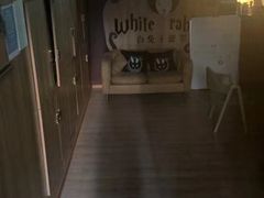 -白兔子密室(长寿路店)