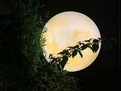 -王捌小院(红花坡店)