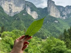-鹿院坪生态旅游景区