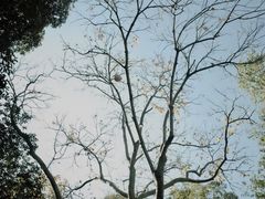 -杭州植物园