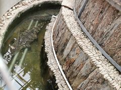 -呀路古热带植物园
